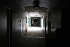 Enlarge photo 67