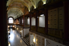 Enlarge photo 248