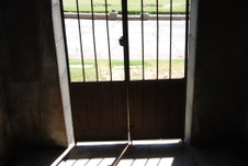 Enlarge photo 226