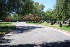 Enlarge photo 234