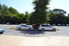 Enlarge photo 282