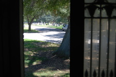 Enlarge photo 237