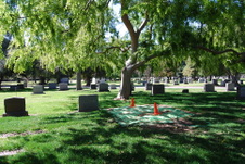 Enlarge photo 212