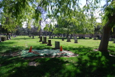 Enlarge photo 213