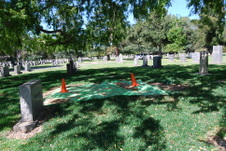 Enlarge photo 215