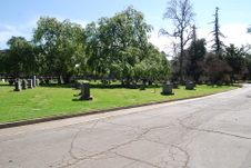 Enlarge photo 217
