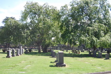 Enlarge photo 218
