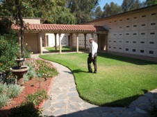 Enlarge photo 173