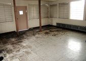 Enlarge photo 46