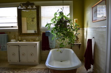 Enlarge photo 38