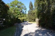 Enlarge photo 69