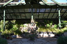 Enlarge photo 80