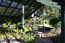 Enlarge photo 81