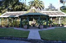 Enlarge photo 82