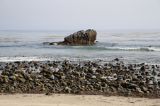 Enlarge photo 7