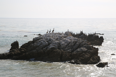 Enlarge photo 25
