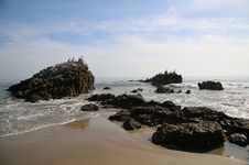 Enlarge photo 33
