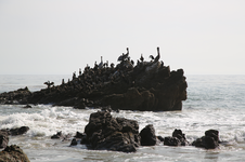 Enlarge photo 34