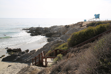 Enlarge photo 46