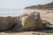 Enlarge photo 55