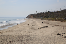 Enlarge photo 57