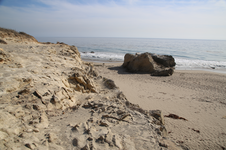 Enlarge photo 59
