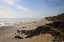 Enlarge photo 62
