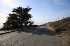 Enlarge photo 63