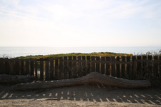Enlarge photo 26