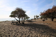 Enlarge photo 29