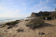 Enlarge photo 32
