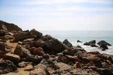 Enlarge photo 64