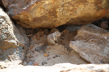 Enlarge photo 73