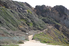 Enlarge photo 85