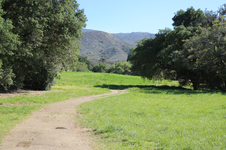 Enlarge photo 445