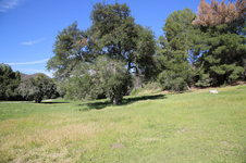 Enlarge photo 447