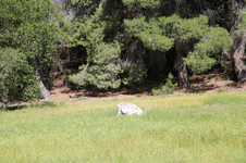 Enlarge photo 538