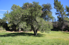 Enlarge photo 449