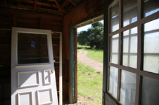 Enlarge photo 485