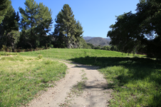 Enlarge photo 488