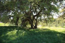 Enlarge photo 489