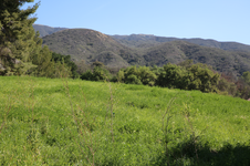 Enlarge photo 491