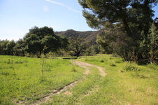 Enlarge photo 493