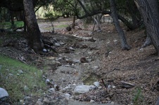 Enlarge photo 17