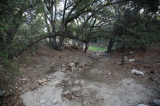 Enlarge photo 32
