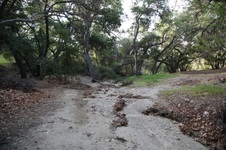 Enlarge photo 33