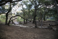 Enlarge photo 38