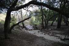 Enlarge photo 39