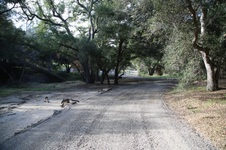 Enlarge photo 43