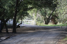 Enlarge photo 44